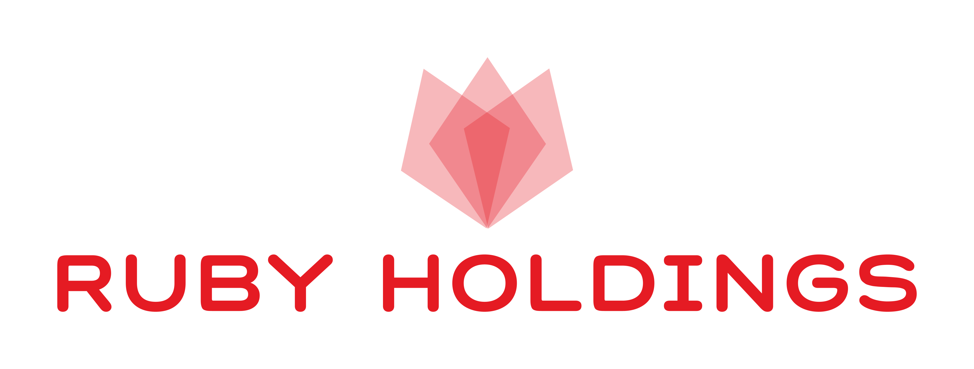 Ruby Holdings